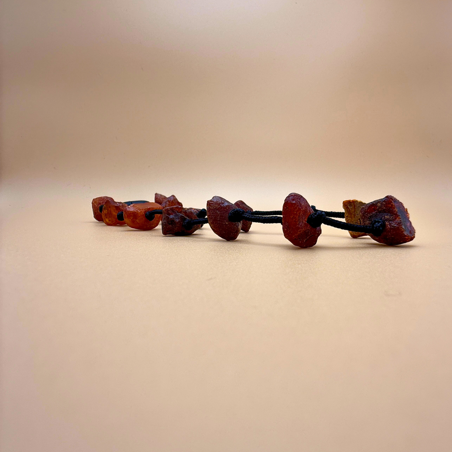 Rav hundekæde – naturlig flåtbeskyttelse