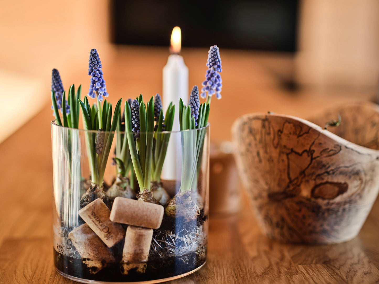 Bowl in spalted birch