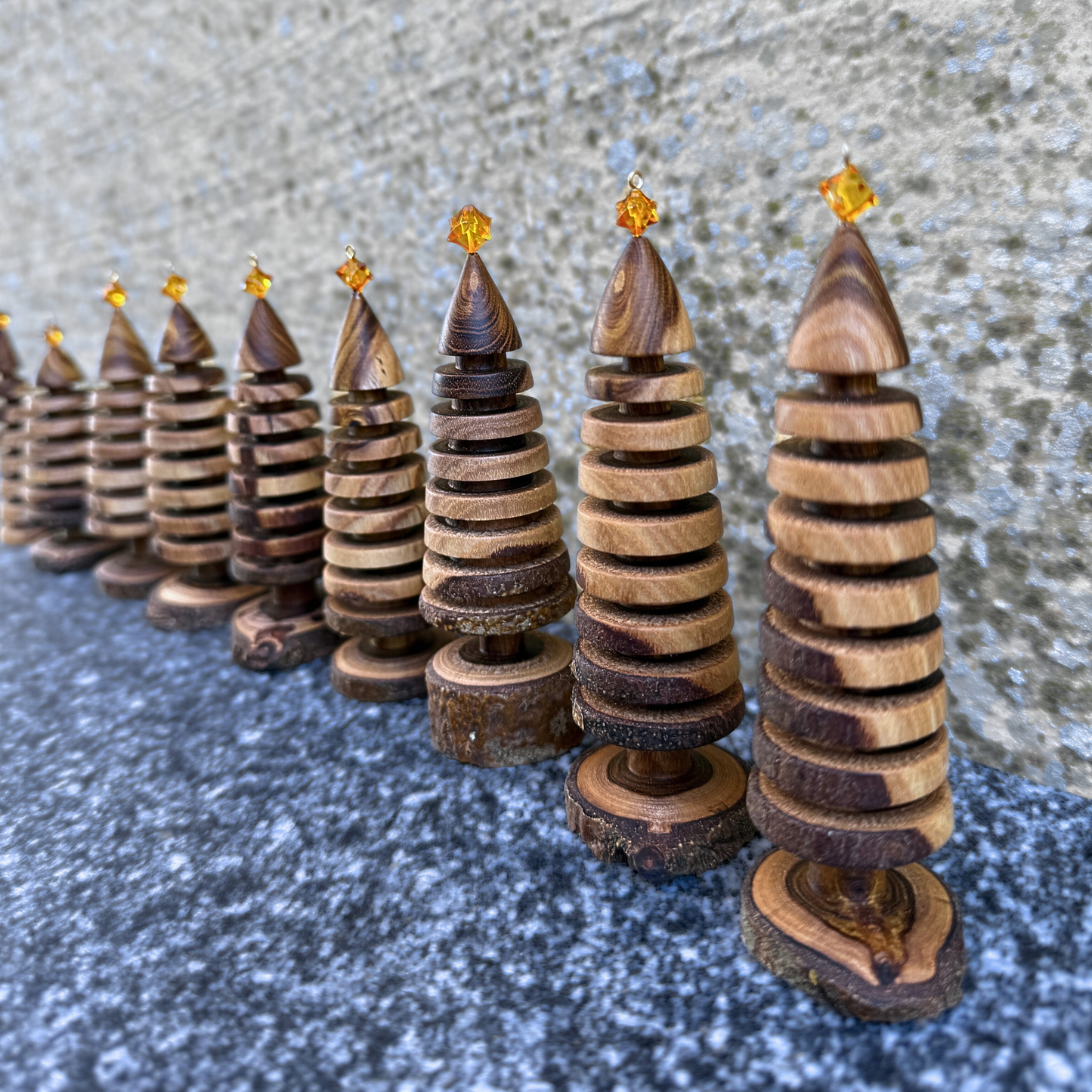 2025 Batch 1 Laburnum Christmas tree with amber star