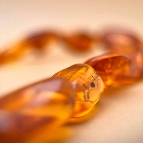 Nature Amber Necklace