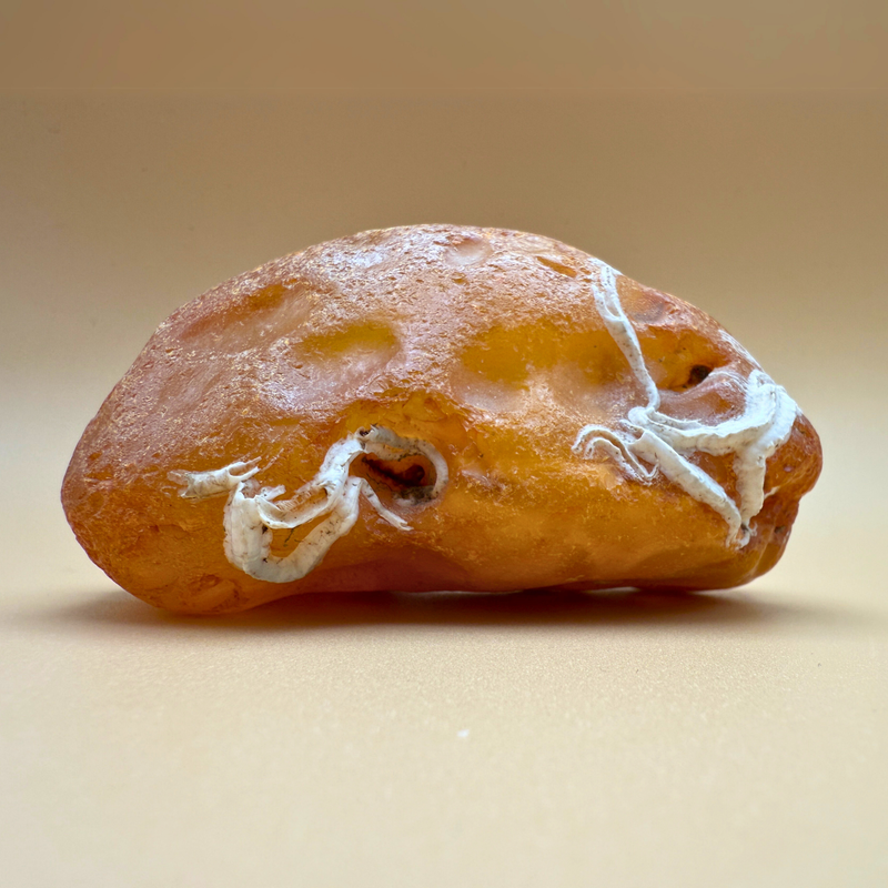 Raw amber from danish waters - 226g