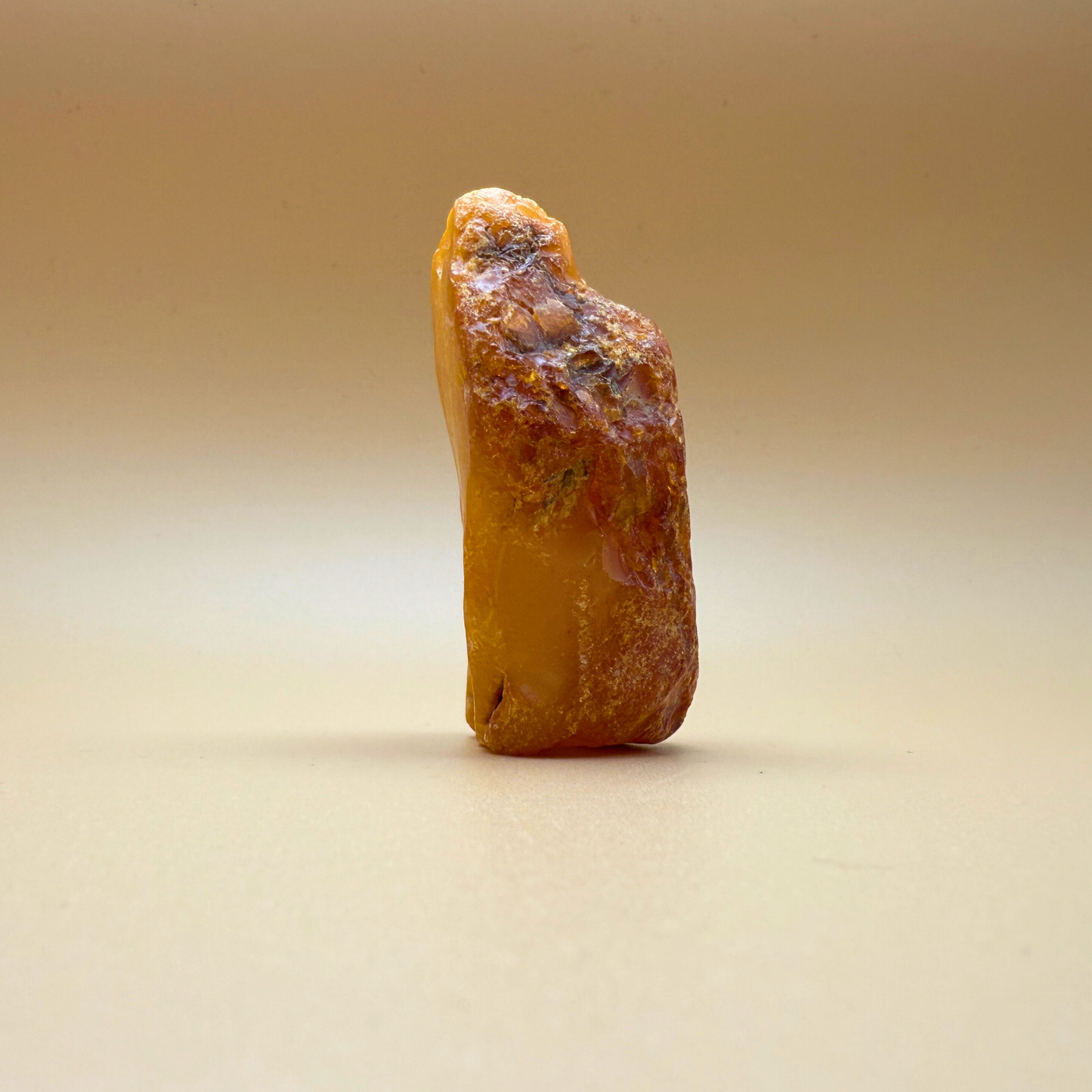 Rå rav fra danske farvande