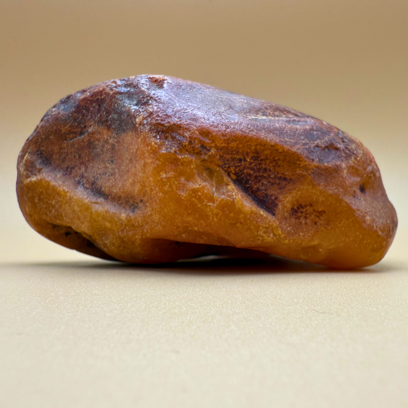 Raw amber from danish waters 383g