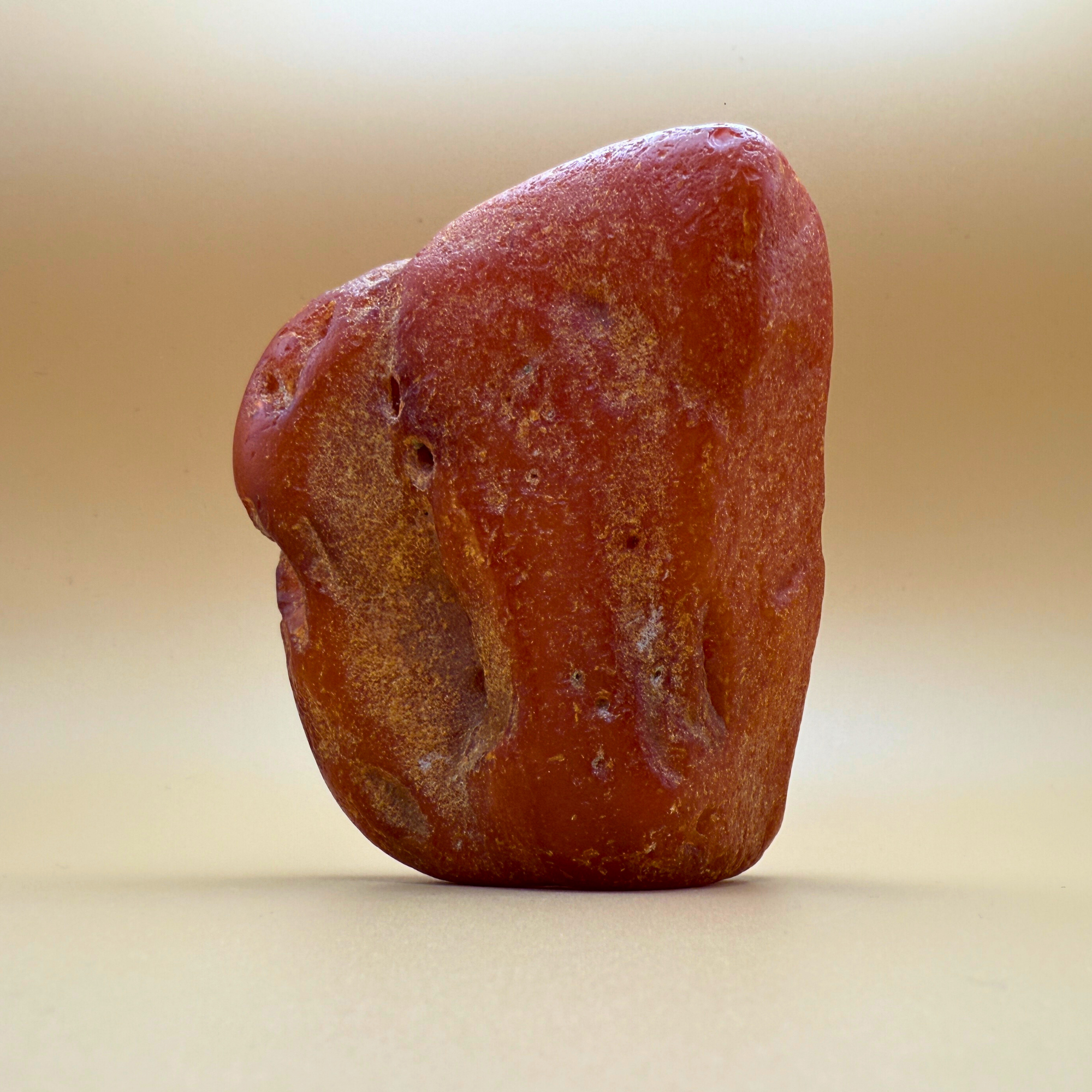 Raw amber from danish waters 254g