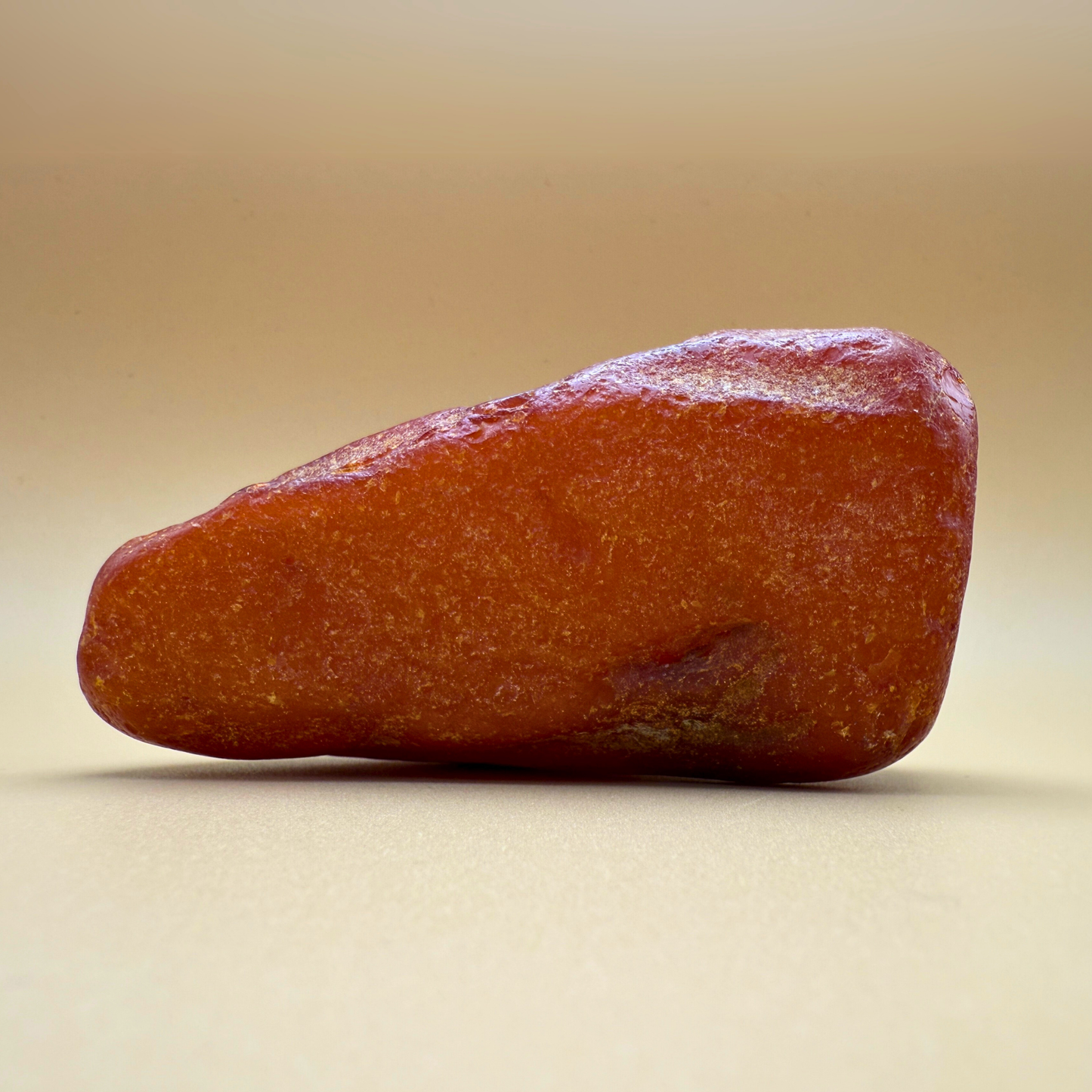 Raw amber from danish waters 254g