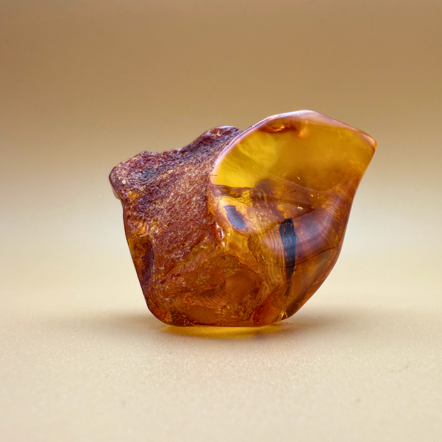 Vindue til naturen – Poleret rav med rå kant og bladinkludering