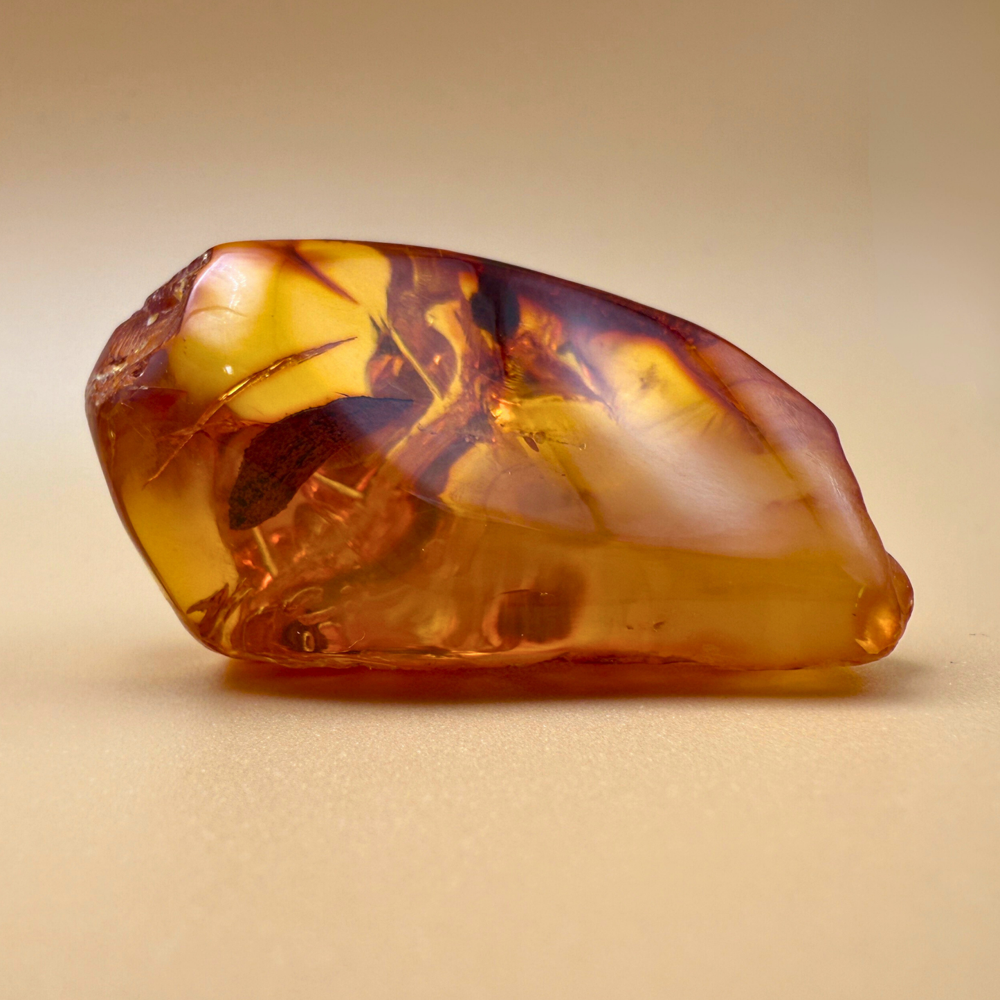 Vindue til naturen – Poleret rav med rå kant og bladinkludering