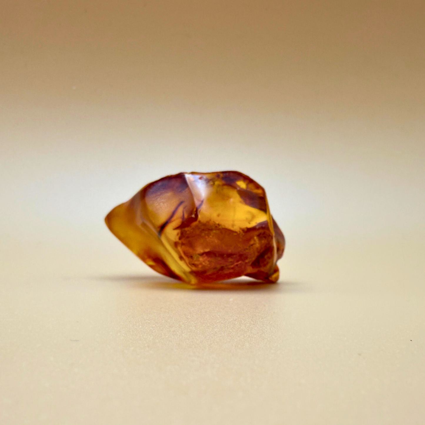 Vindue til naturen – Poleret rav med rå kant og bladinkludering