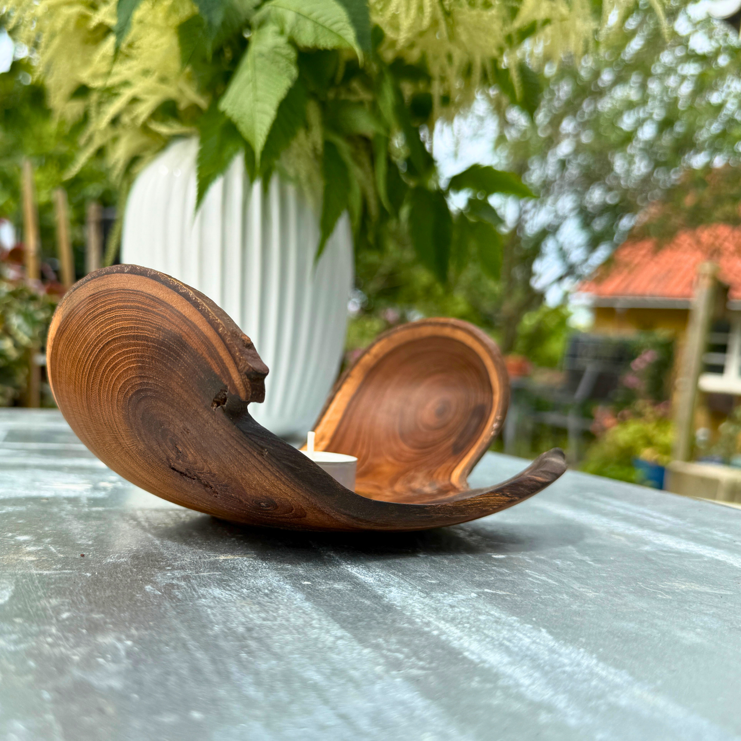 Sculptural Laburnum Wood Tray with Curved Edges