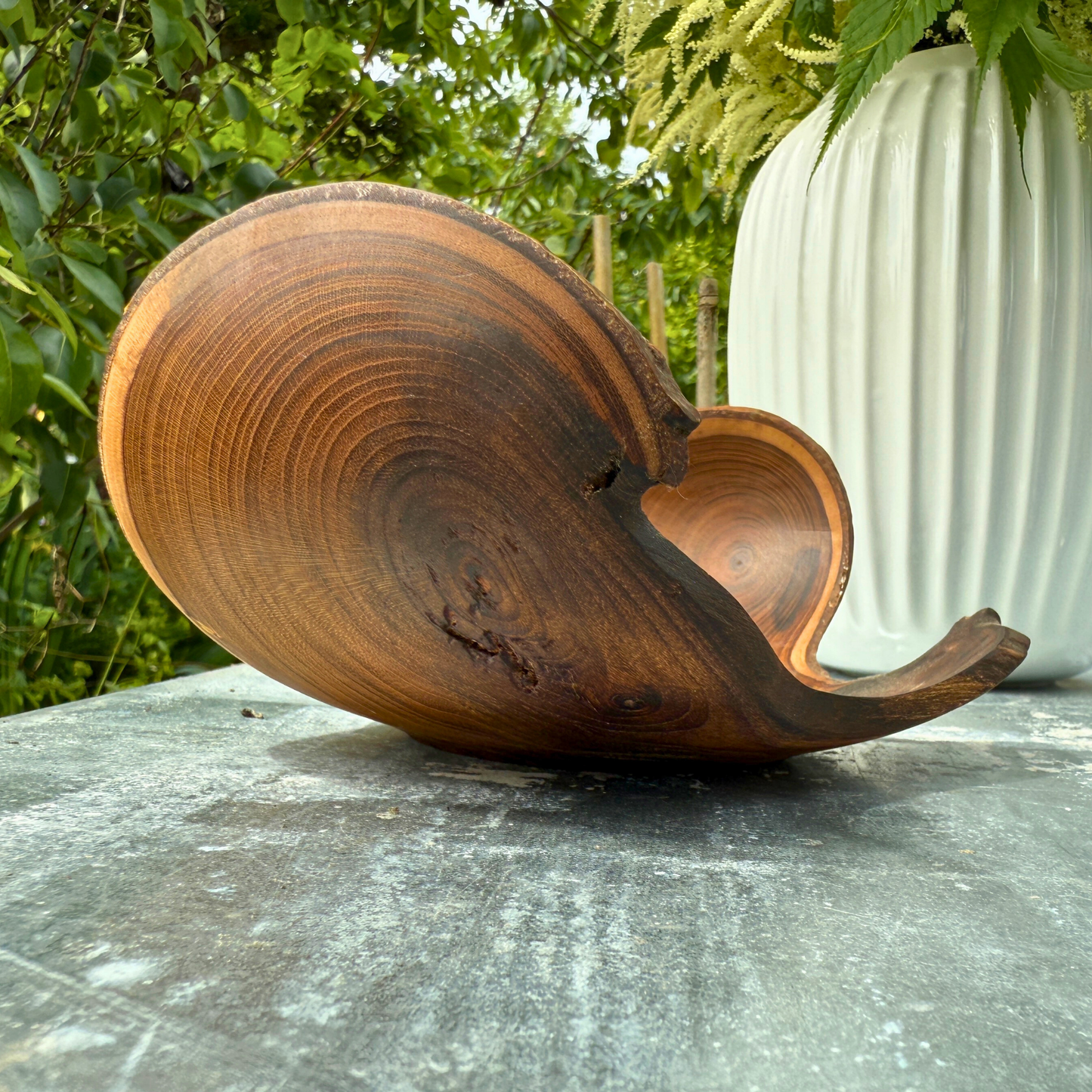 Sculptural Laburnum Wood Tray with Curved Edges