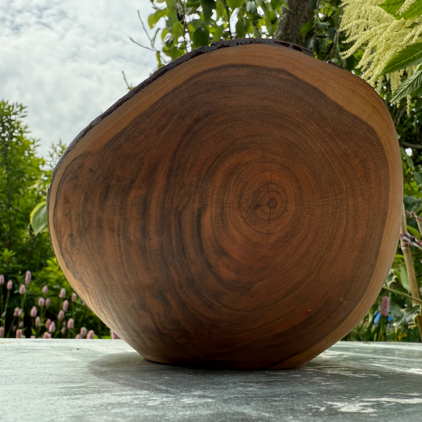 Black cherry Bowl with Bark Edge – Compact Organic Form