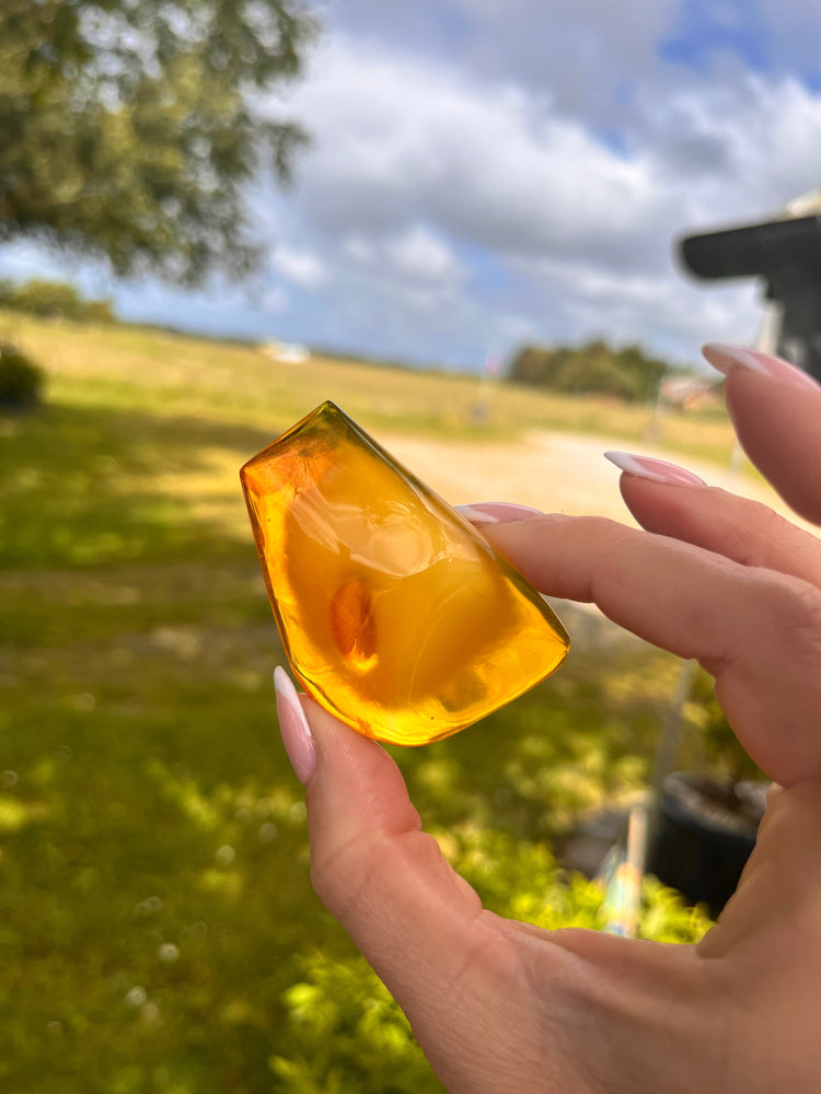 Ravgaard Amber with cloud