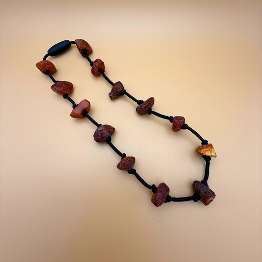 Rav hundekæde – naturlig flåtbeskyttelse