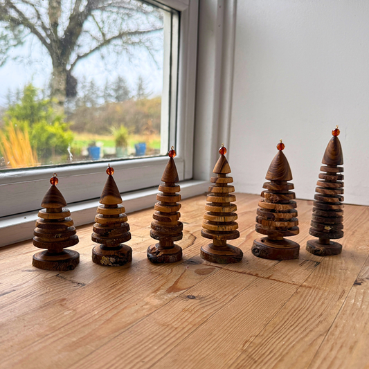 Laburnum Christmas tree 2025 Batch 2 with round amber top