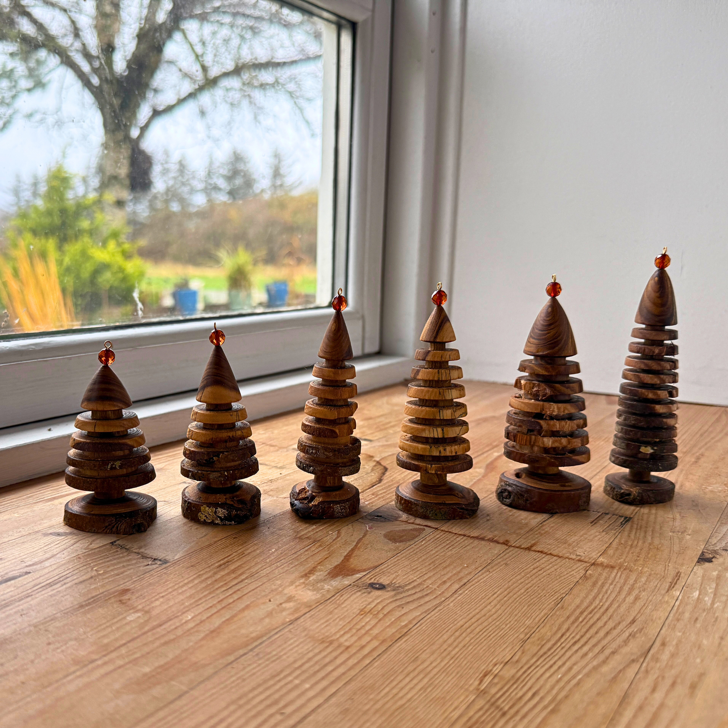 Laburnum juletræ med rund rav top 2025 batch 2