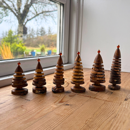 Laburnum juletræ med rund rav top 2025 batch 2