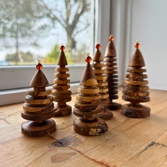 Goldregen-Weihnachtsbaum, Charge 2, Jahrgang 2025, mit runder, bernsteinfarbener Spitze