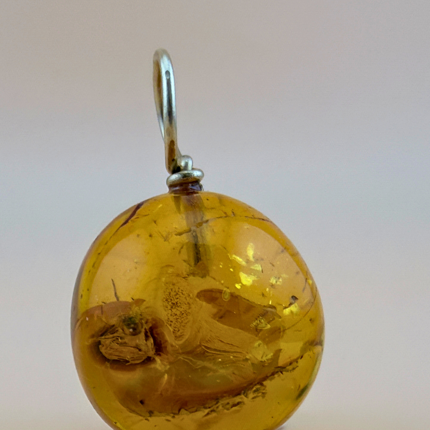 Pendant with spider inclusion & 14 kt gold
