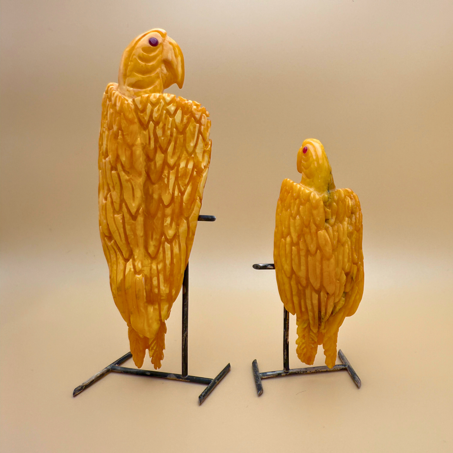 Tommy - Papegøje ravfigur