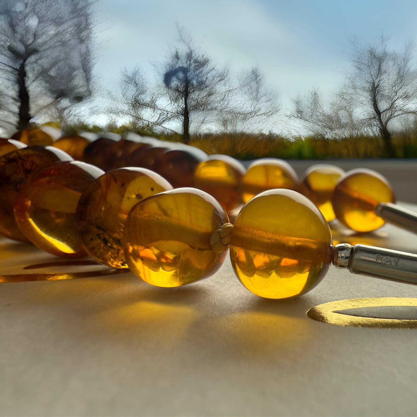 Unique citrus Amber necklace