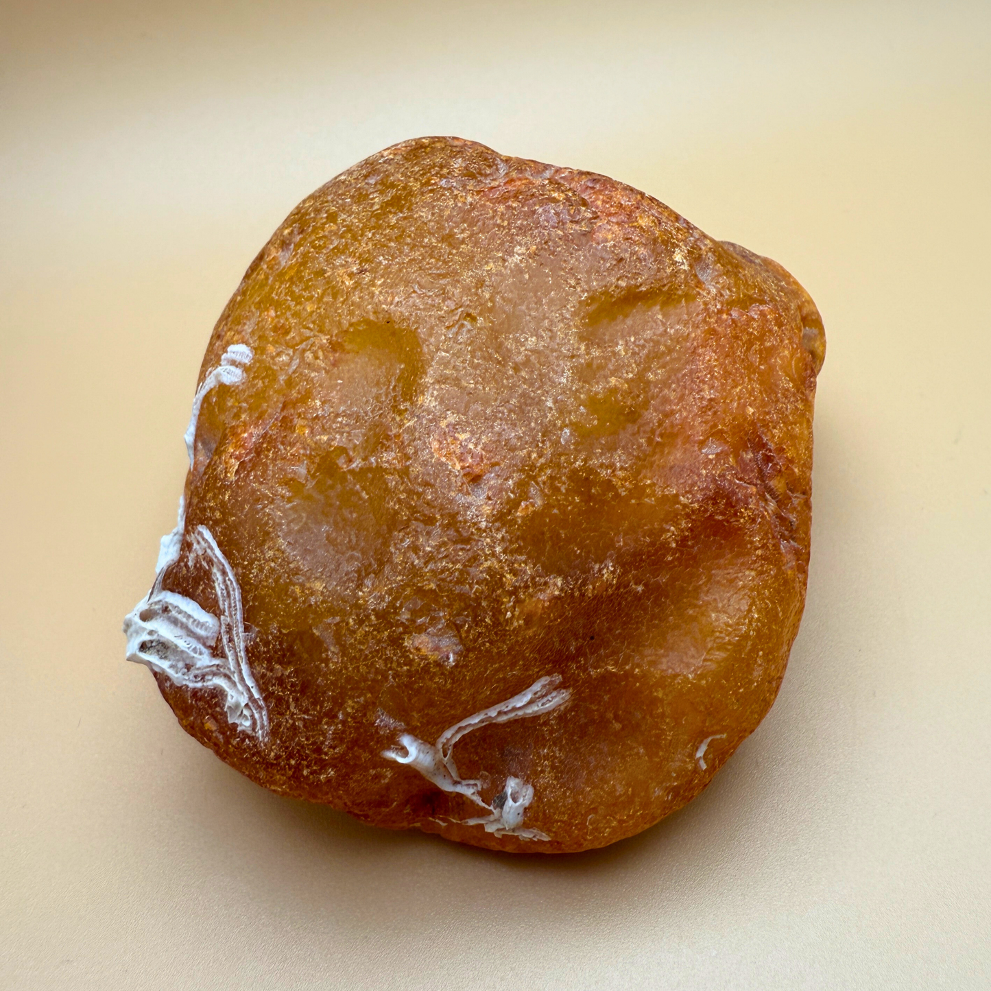 Raw amber from danish waters - 226g