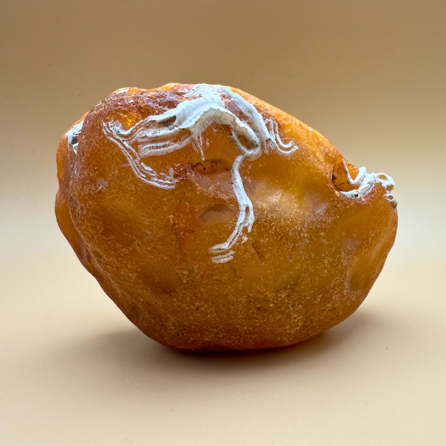 Raw amber from danish waters - 226g