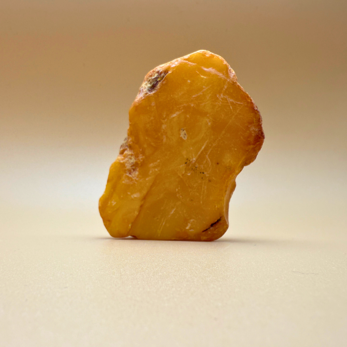 Raw amber from danish waters - 61g