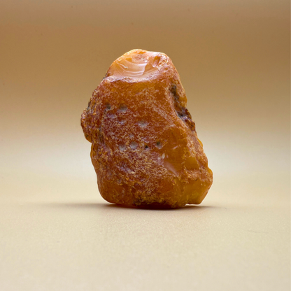 Raw amber from danish waters - 61g