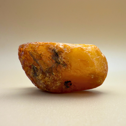 Raw amber from danish waters - 61g