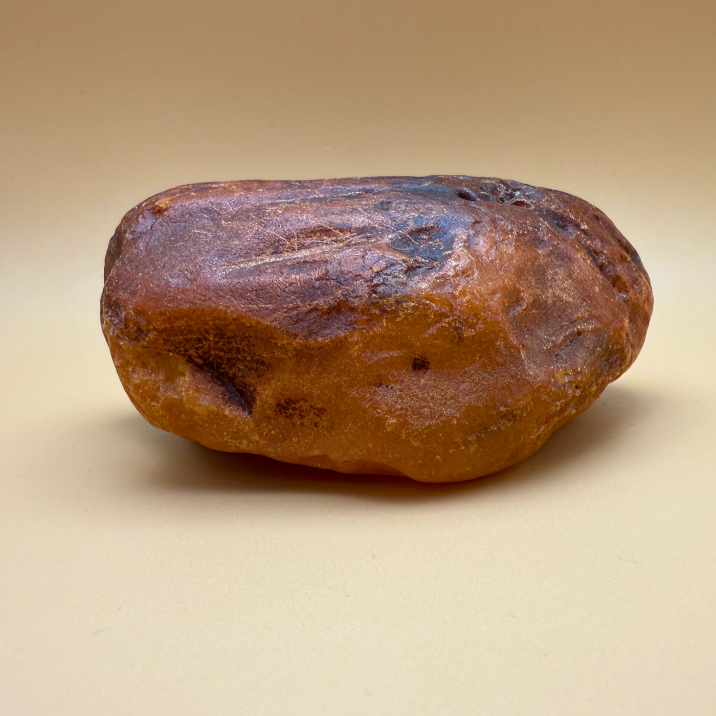 Raw amber from danish waters