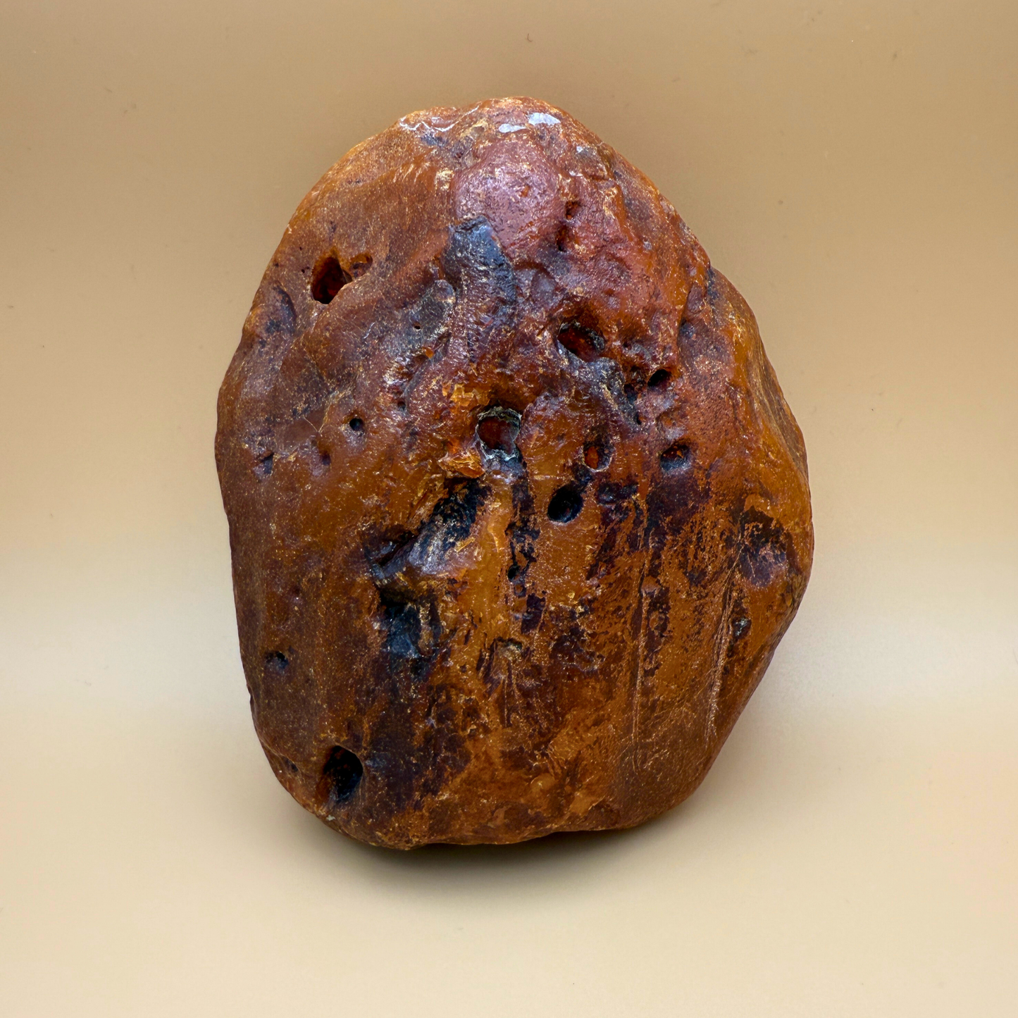 Raw amber from danish waters 383g