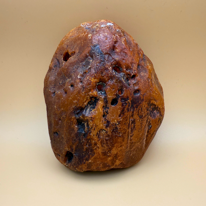 Raw amber from danish waters 383g