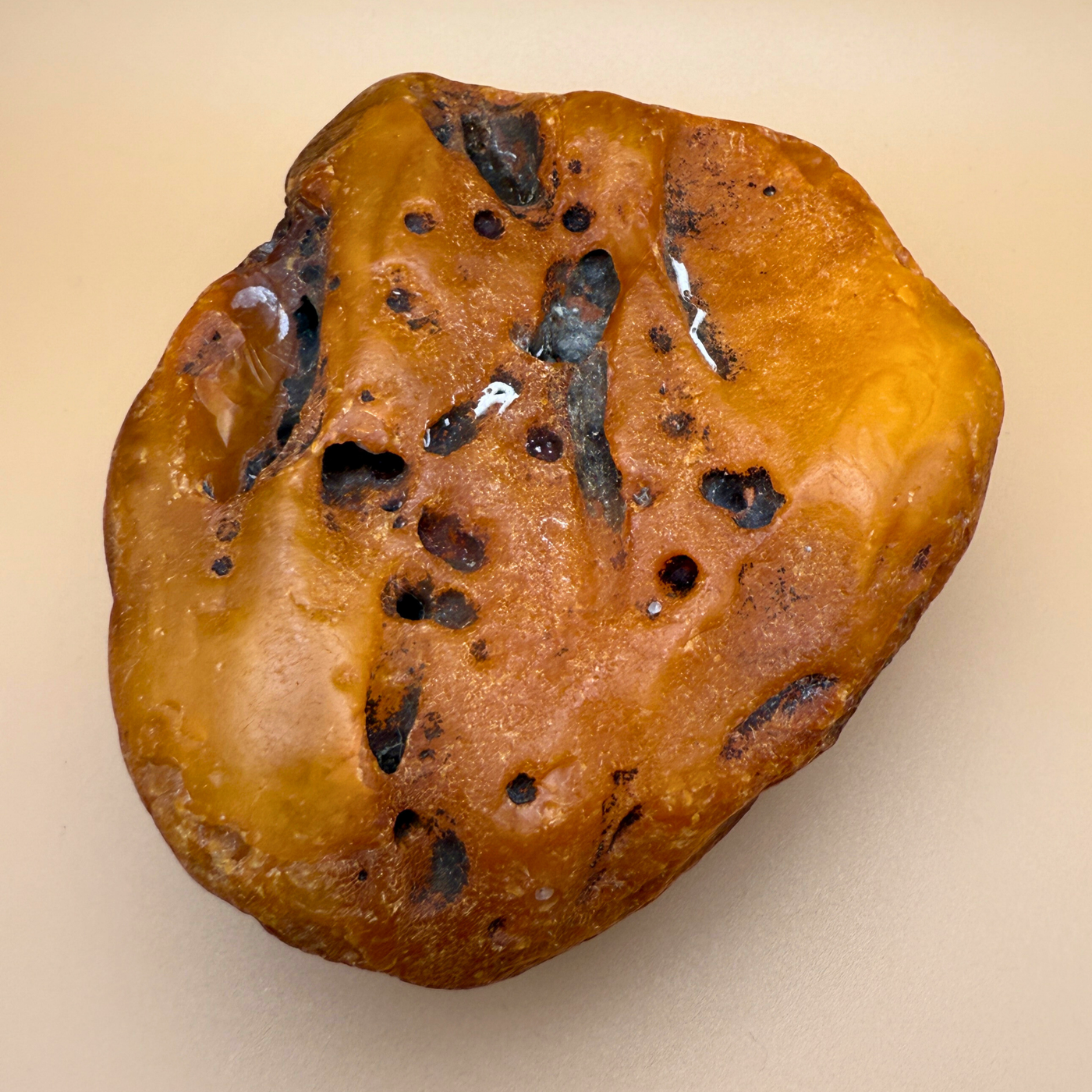 Raw amber from danish waters