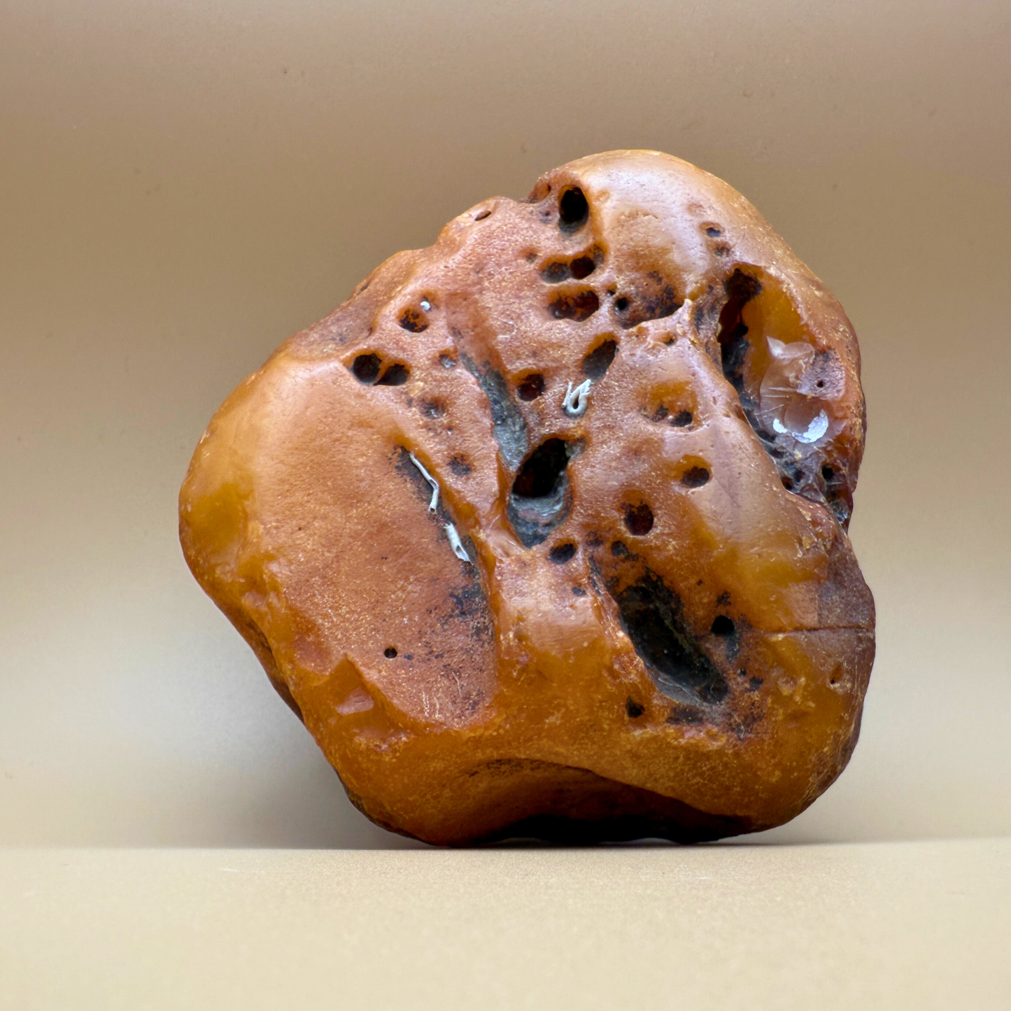 Raw amber from danish waters 383g
