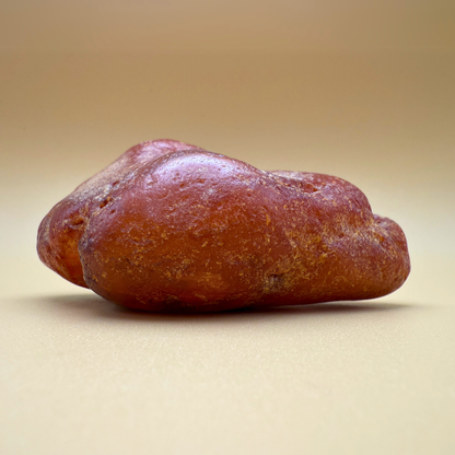 Rohbernstein aus dänischen Gewässern 254g