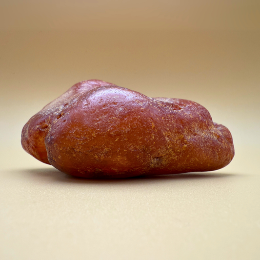 Rohbernstein aus dänischen Gewässern 254g
