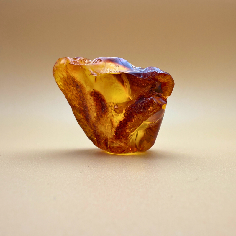 Window to Nature – Polished Amber with Raw Edge and Leaf Inclusion