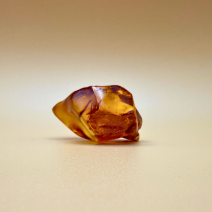 Window to Nature – Polished Amber with Raw Edge and Leaf Inclusion