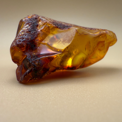Window to Nature – Polished Amber with Raw Edge and Leaf Inclusion