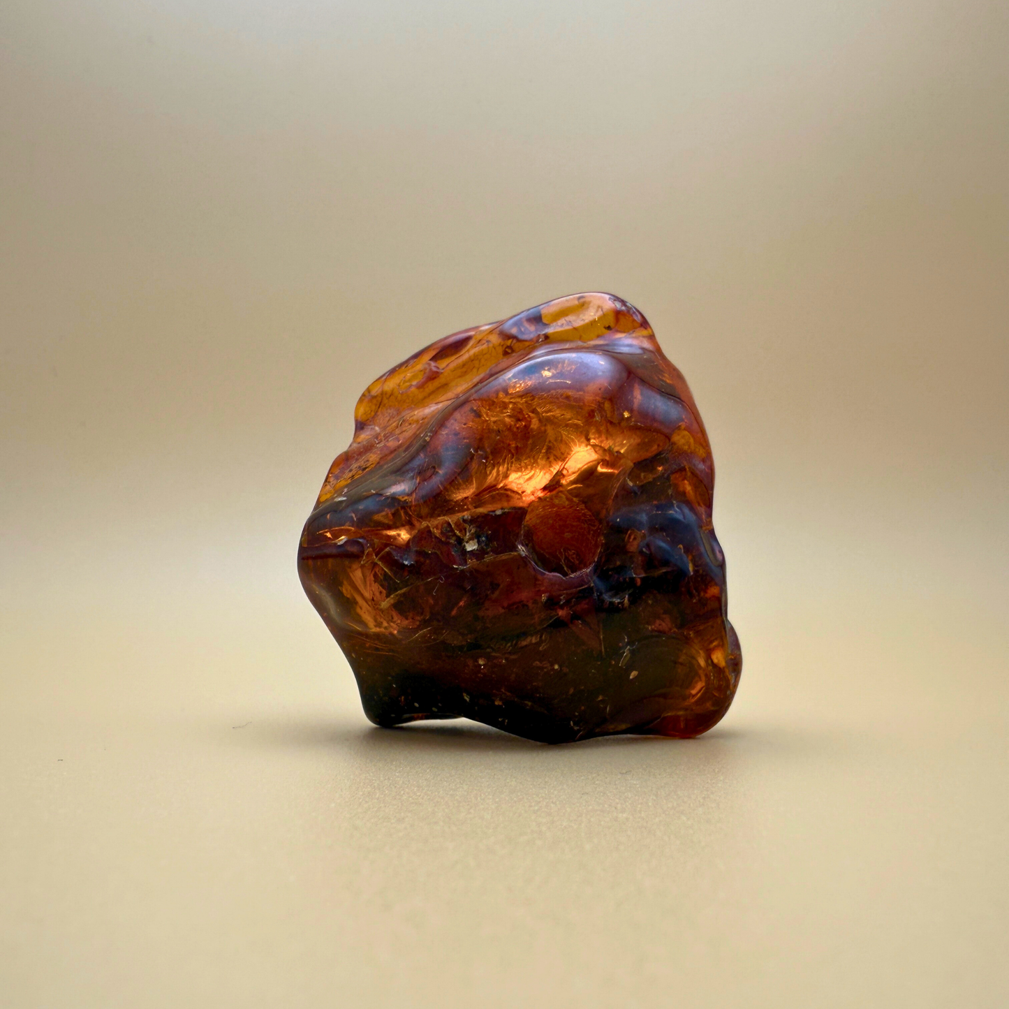 Rå rav med indeslutninger af planterester