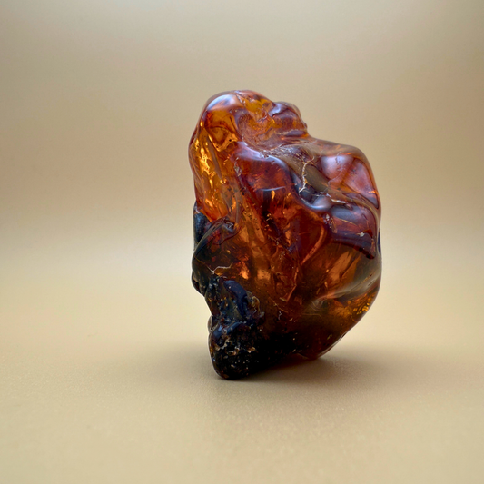Raw Amber with Ancient Plant Inclusions