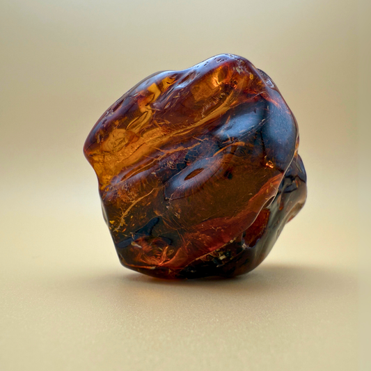 Raw Amber with Ancient Plant Inclusions