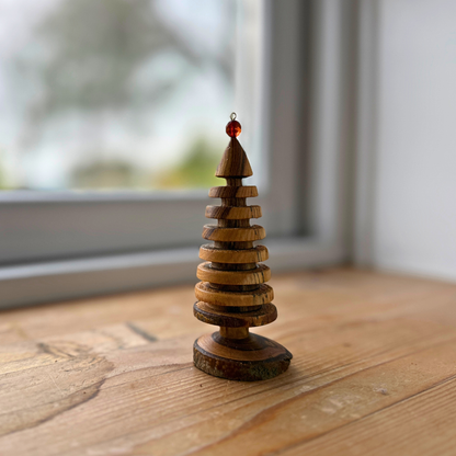 Laburnum juletræ med rund rav top 2025 batch 2