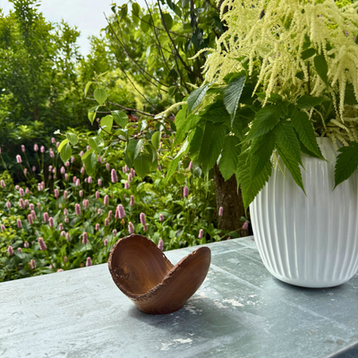Laburnum Wood bowl