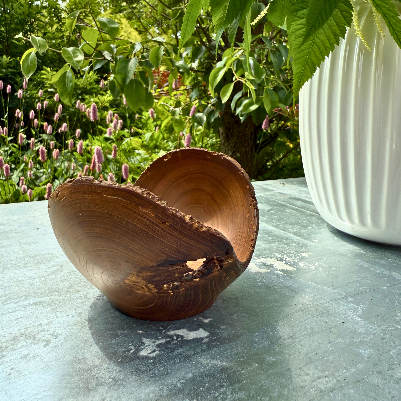 Laburnum Wood bowl