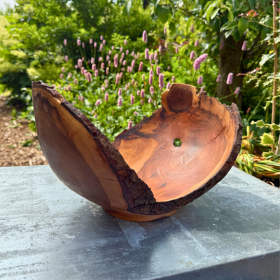 Large Glossy Leaf Bird Cherry Bowl with Bark Edge