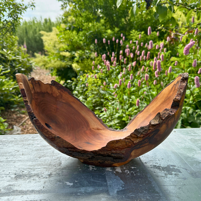 Large Glossy Leaf Bird Cherry Bowl with Bark Edge