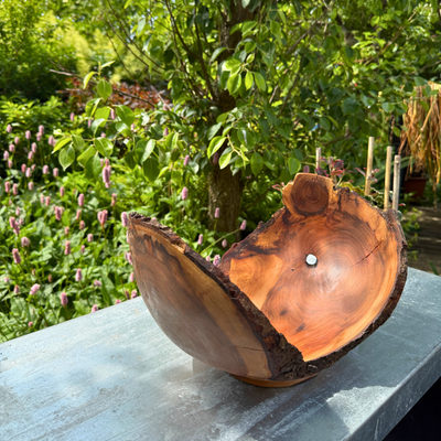 Large Glossy Leaf Bird Cherry Bowl with Bark Edge