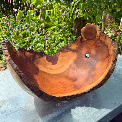Large Glossy Leaf Bird Cherry Bowl with Bark Edge