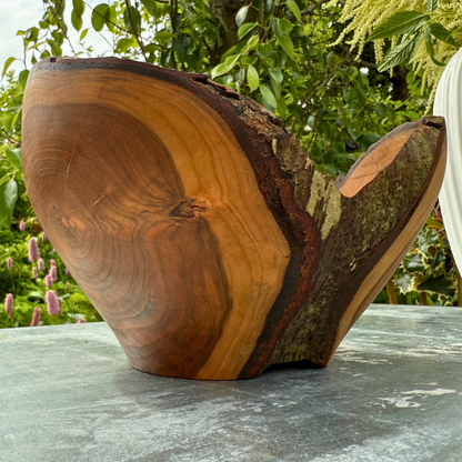 Gegabelte Schale aus Schwarzkirsche – Skulptur mit rohen Kanten